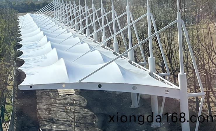 膜(mo)結構雨(yu)棚(peng)——長豐一(yi)中風(feng)雨(yu)跑道(dao)項目