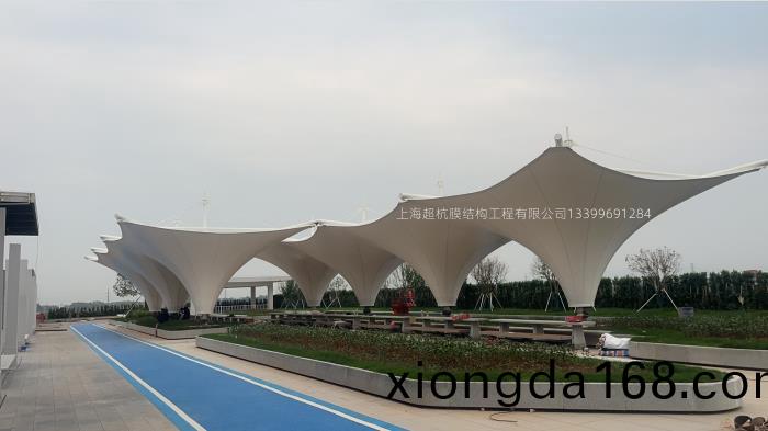 膜(mo)結構景觀(guan)棚