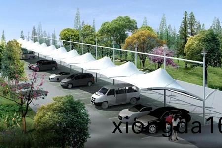 `景觀(guan)區(qū)(qu)膜(mo)結(jié)(jie)構(gòu)車(che)棚(peng)款式(shi)`
