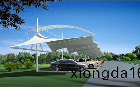 `膜(mo)結構停(ting)車(che)棚施(shi)工過(guo)程(cheng)`