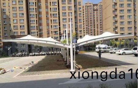 `雙(shuang)邊(bian)膜(mo)結(jié)構(gòu)車(che)棚(peng)雨棚(peng)價(jià)格`