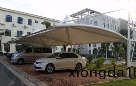 `張拉膜(mo)停(ting)車棚系列(lie)`